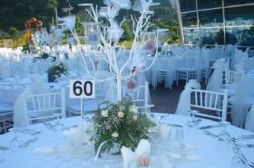 Günay Organizasyon | www.gunayorganizasyon.com